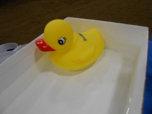 And What is bathtime without a rubber duck? I found this over by the paint samples. A quirk of mine is a love for rubber ducks (but I don't really bath with them)